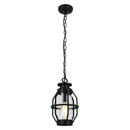 Henry Black And Clear Glass Outdoor Pendant Light - Lighting.co.za