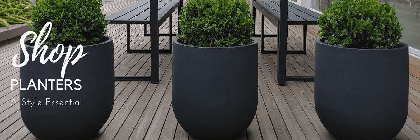 Ceramic and woven planters styled with indoor plants