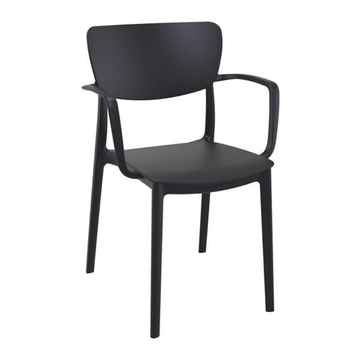 Lisa Arm Dining Chair - Stools and Ottomans - Lighting.co.za