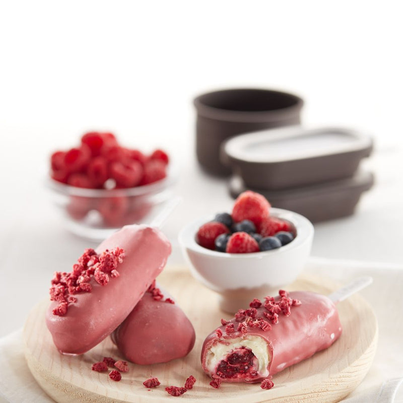 Lekue Classic Creamy Ice Lolly Moulds Set of 4