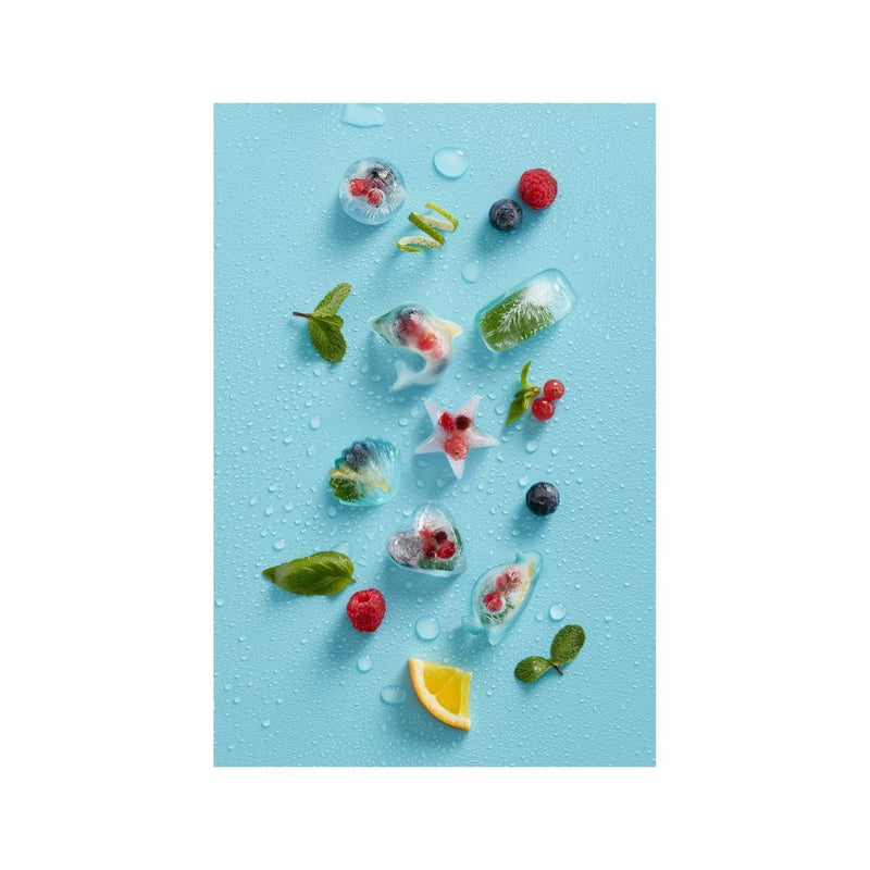 Lekue Rectangular Ice Cube Tray with Lid 14 Cube