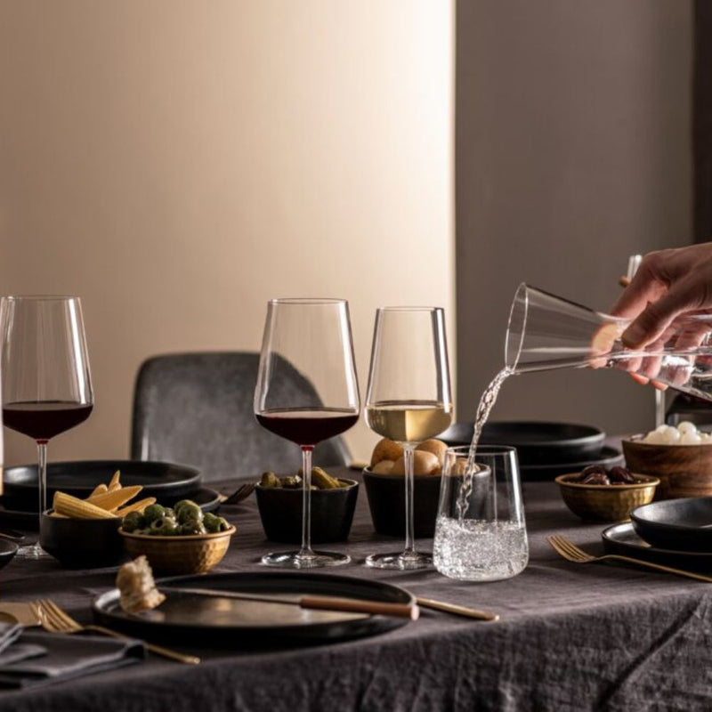 Zwiesel Glas Vervino Allround Tumbler 485ml Set of 4