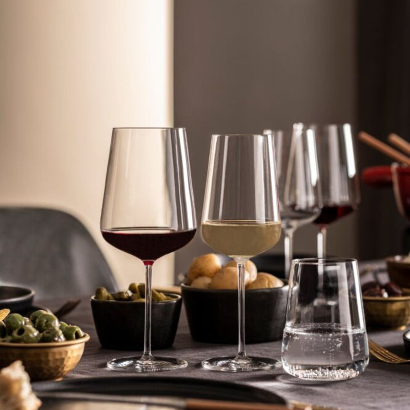 Zwiesel Glas Vervino Allround Tumbler 485ml Set of 4