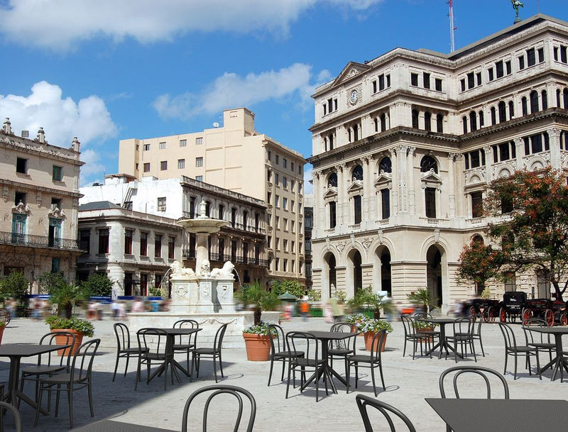 Victor Side Dining Chair - Lighting.co.za