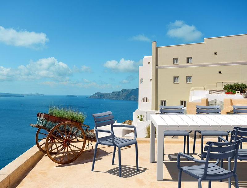 Paris Arm Dining Chair - Lighting.co.za