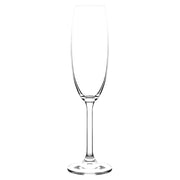 Crane Crystal Bistro Champagne Flute 220ml - Lighting.co.za