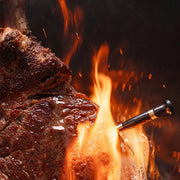 Typhur Sync Quad Wireless Meat Thermometer 4 Probes - Lighting.co.za
