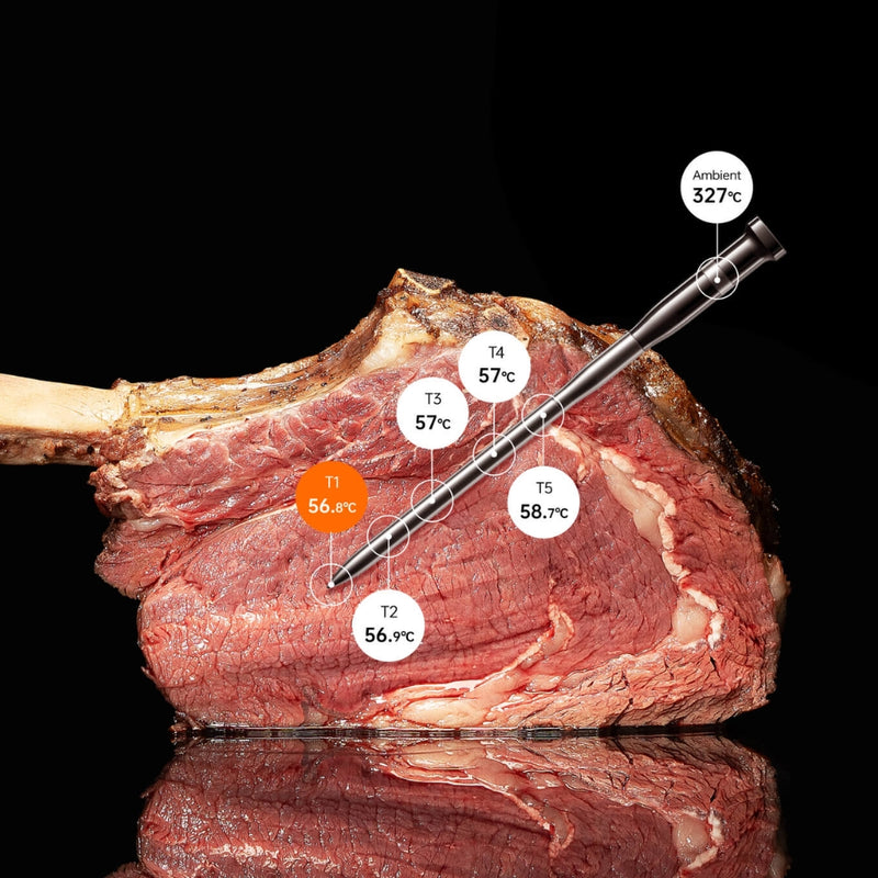 Typhur Sync Quad Wireless Meat Thermometer 4 Probes - Lighting.co.za