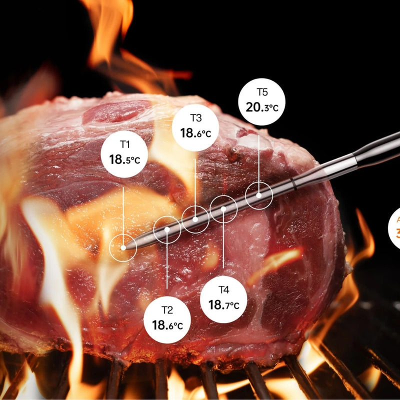 Typhur Sync One Wireless Meat Thermometer - Lighting.co.za