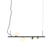 Asta Black or White and Gold Pendant Light - Lighting.co.za