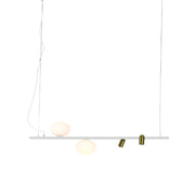 Asta Black or White and Gold Pendant Light - Lighting.co.za