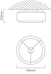 Sandbach Black and Gold Ceiling Light - Lighting.co.za