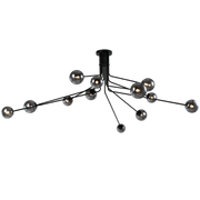 Priya Branch 12 Light Black and Smoke Glass Pendant Light - Lighting.co.za