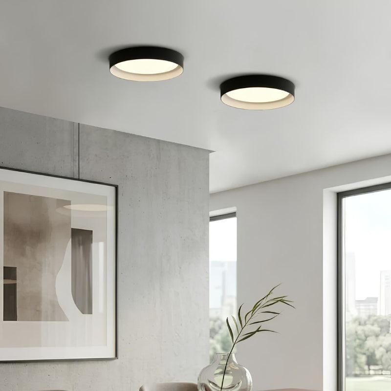 Two modern ceiling lights in a room with a painting and a vase.