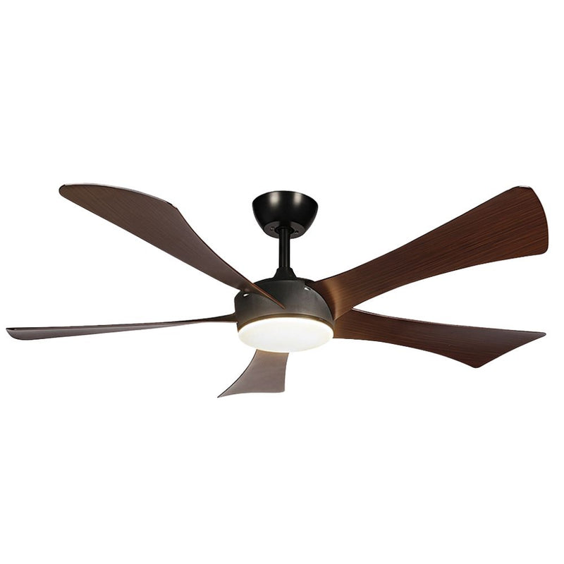 Ease 5 Blade Black and Walnut CCT LED Ceiling Fan