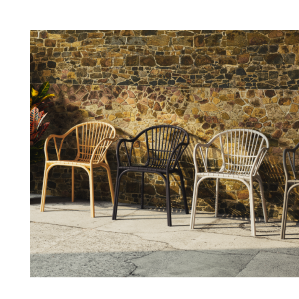 Emily Arm Dining Chair - Lighting.co.za