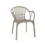 Emily Arm Dining Chair - Lighting.co.za