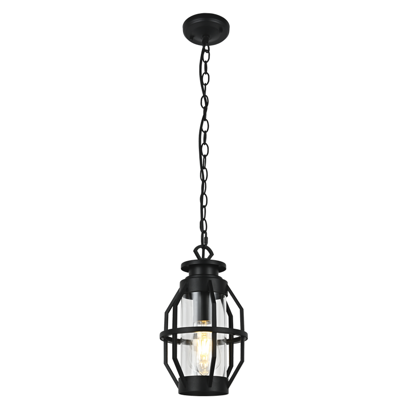 Henry Black And Clear Glass Outdoor Pendant Light - Lighting.co.za