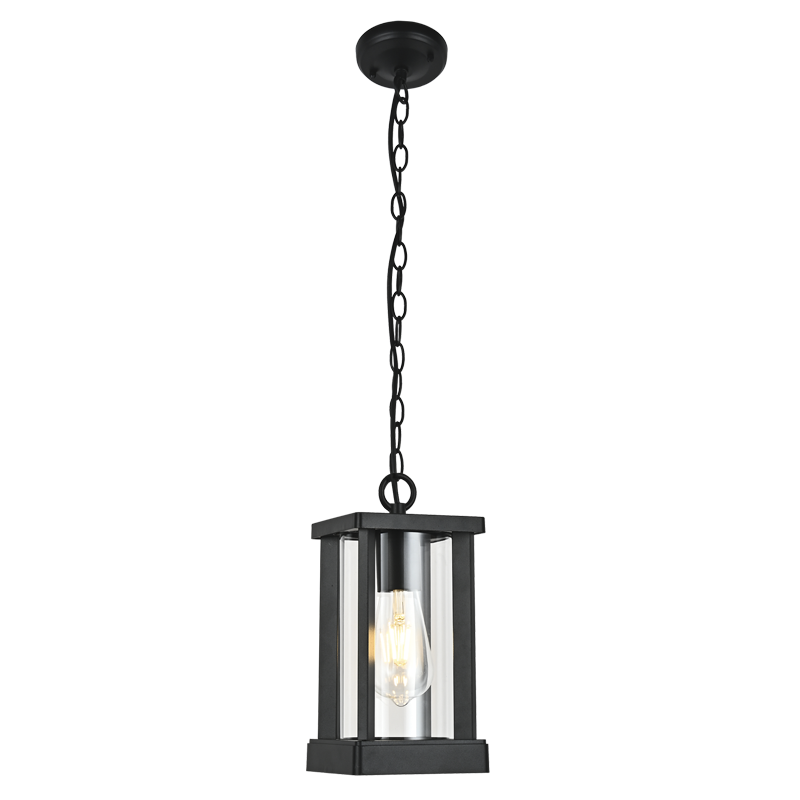 Republic Black And Clear Glass Outdoor Pendant Light - Lighting.co.za