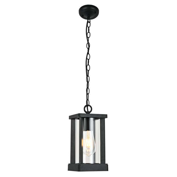Republic Black And Clear Glass Outdoor Pendant Light - Lighting.co.za