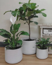 Lagoon Round Japi Planter 3 Sizes - Lighting.co.za