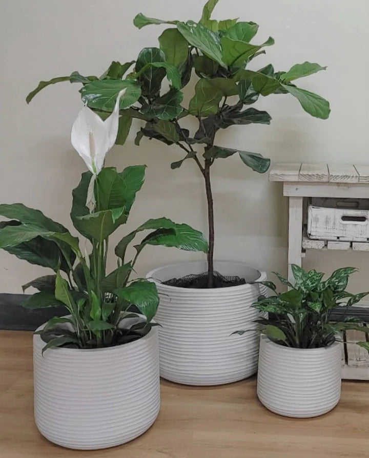 Lagoon Round Japi Planter 3 Sizes - Lighting.co.za