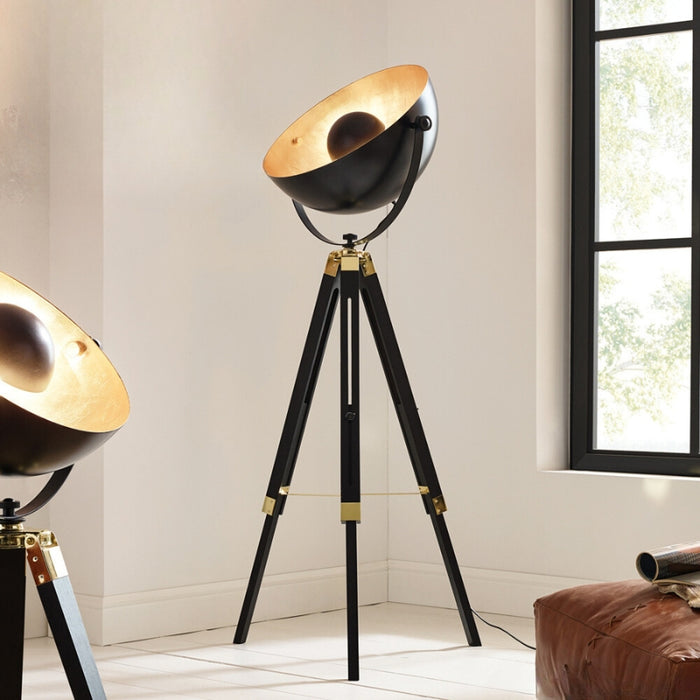 Covaleda Black and Gold Dome Floor Lamp - Lighting.co.za