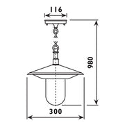 Ida Outdoor Black And Glass Outdoor Pendant Light - Lighting.co.za