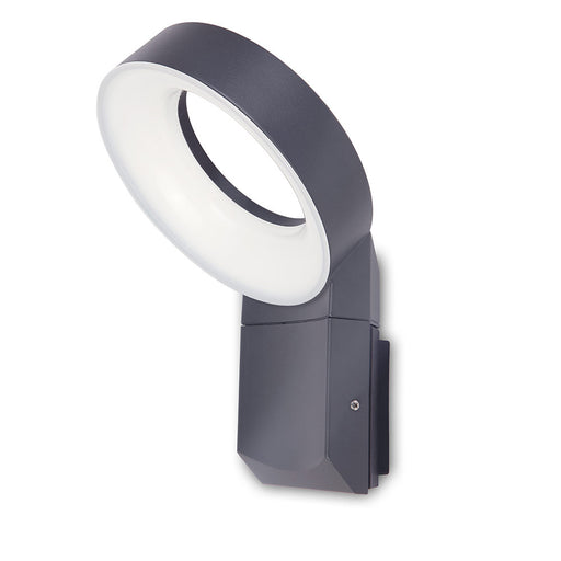 Meridian Dark Grey LED Outdoor Wall Light - Lighting.co.za