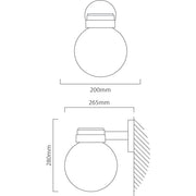 Suria Black and Clear Outdoor Wall Light - Lighting.co.za