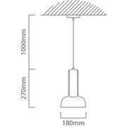 Zen Clear Glass and Gold Pendant Light - Lighting.co.za