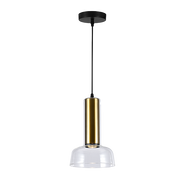 Zen Clear Glass and Gold Pendant Light - Lighting.co.za