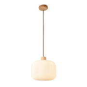 Nesta Style 1 White Glass and Wood Pendant Light - Lighting.co.za