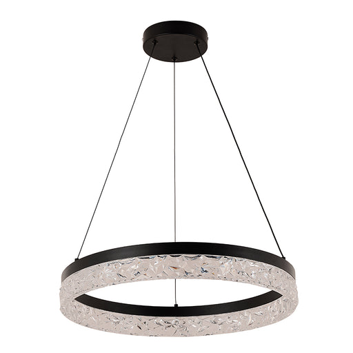 Glint Black and Clear Ring LED Pendant Light - Lighting.co.za
