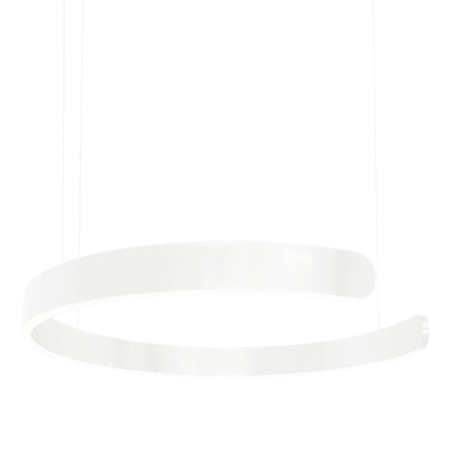 Alice Black | White | Gold Open Ring LED Pendant Light - LED Pendant Lights - Lighting.co.za