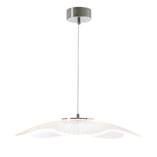 Ameba Clear Perspex LED Pendant Light 2 Sizes - Lighting.co.za