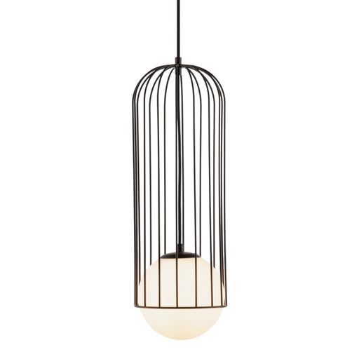 Basket Black Cage and Frosted Glass Pendant Light - Lighting.co.za