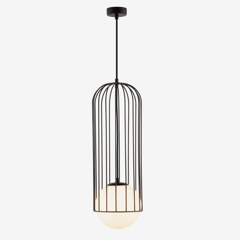 Basket Black Cage and Frosted Glass Pendant Light - Lighting.co.za