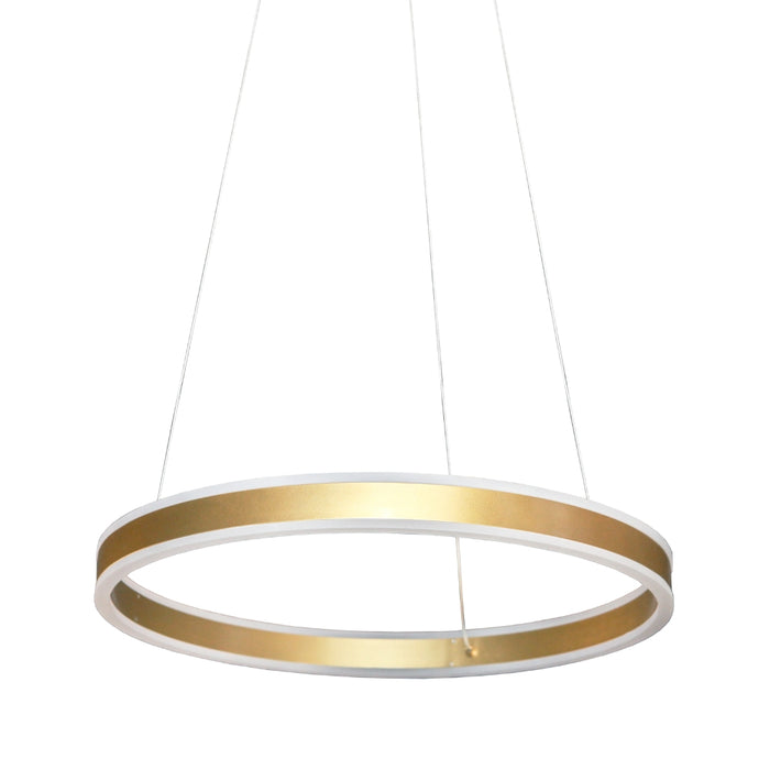 Eternity Black | White | Gold Ring LED Pendant Light - Lighting.co.za