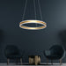 Eternity Black | White | Gold Ring LED Pendant Light - Lighting.co.za