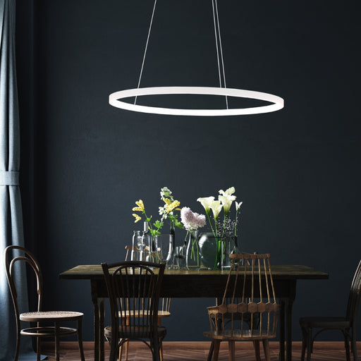 Ribbon Slim Gold | Black | White LED Ring Pendant Light 2 Sizes - Lighting.co.za