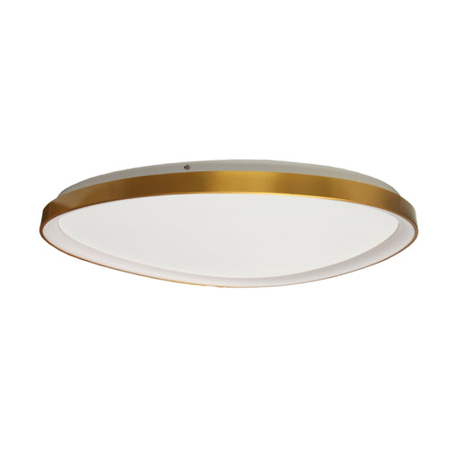 Ovoid Gold Frame LED Ceiling Light 3 Sizes - Lighting.co.za