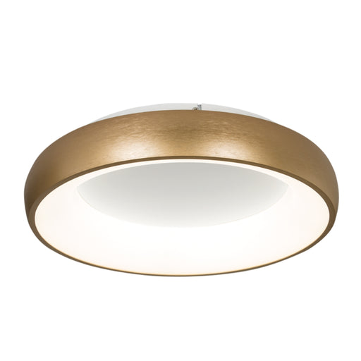 Manon Gold Gold LED Ceiling Light - Lighting.co.za