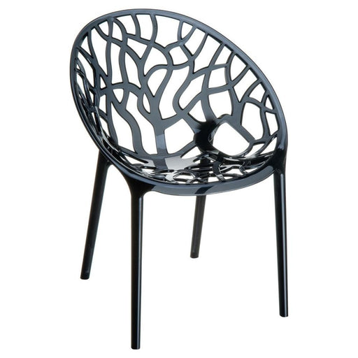Crystal Clear | Black | Amber Dining Chair - Lighting.co.za