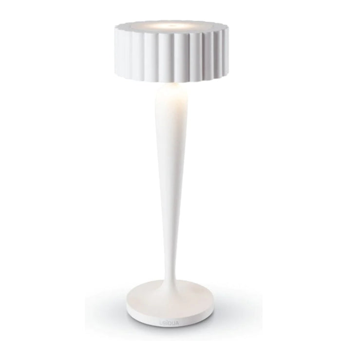 Twiggy Rechargeable Table Lamp - Lighting.co.za