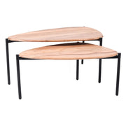 Alicia Acacia Wood and Black Coffee Table Set of 2 - Lighting.co.za