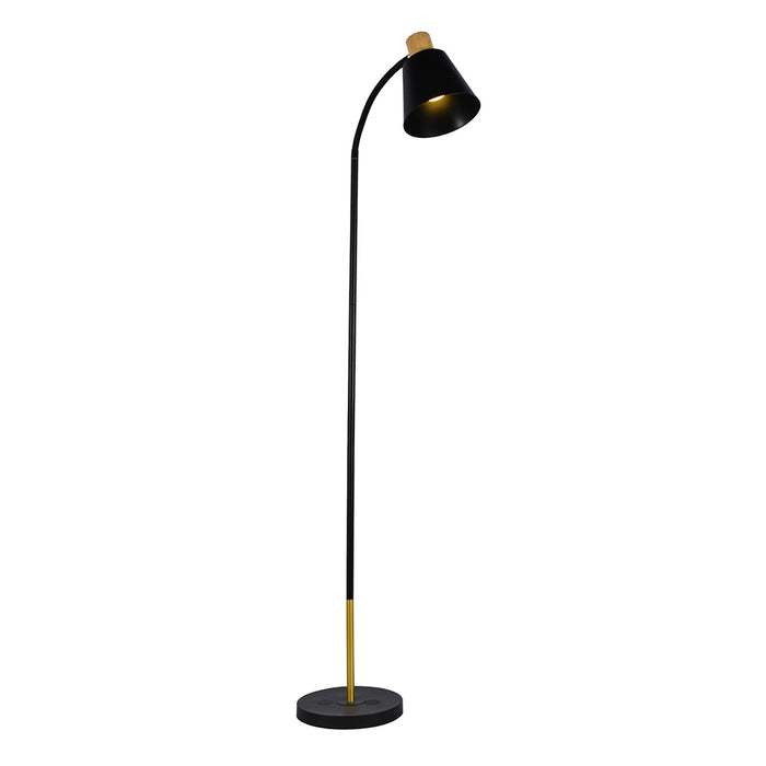 Curve Black or White and Gold Floor Lamp