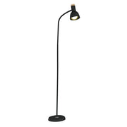 Arc Black or White and Wood Floor Lamp - Lighting.co.za