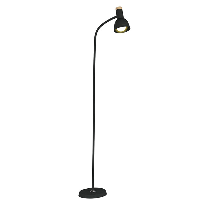 Arc Black or White and Wood Floor Lamp