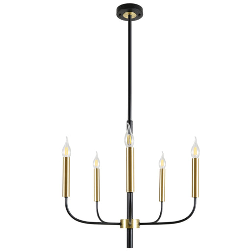 Studio 5 | 10 Light Black and Gold Chandelier - Lighting.co.za